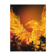 Phoenix in het Briefkaart