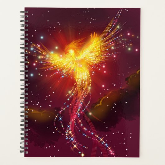 Phoenix in vlucht planner (Voorkant)