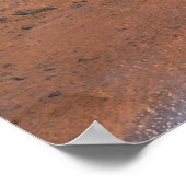 Phoenix Mars Lander 2 Poster (Hoek)