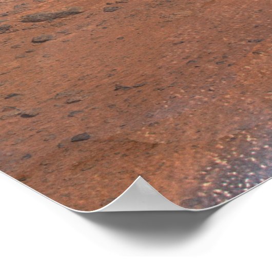 Phoenix Mars Lander 2 Poster (Hoek)