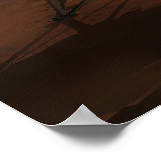 Phoenix Mars Lander 3 Poster (Hoek)