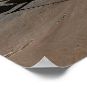 Phoenix Mars Lander 4 Poster (Hoek)