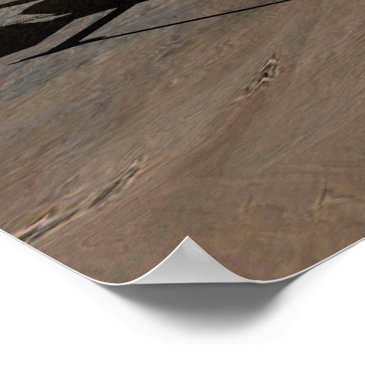 Phoenix Mars Lander 4 Poster (Hoek)