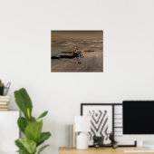 Phoenix Mars Lander 4 Poster (Thuiskantoor)