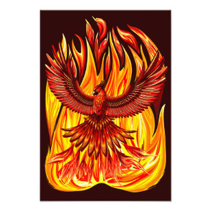 Phoenix mythologische onsterfelijke schepsel foto afdruk