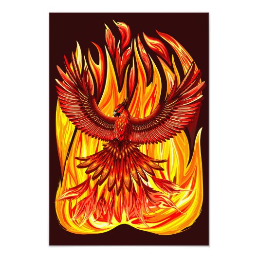 Phoenix mythologische onsterfelijke schepsel foto afdruk (Voorkant)