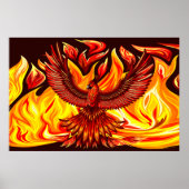 Phoenix mythologische onsterfelijke schepsel poster (Voorkant)