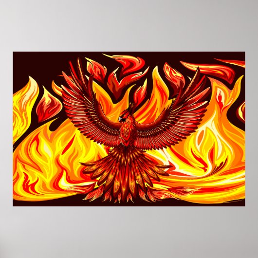 Phoenix mythologische onsterfelijke schepsel poster (Voorkant)