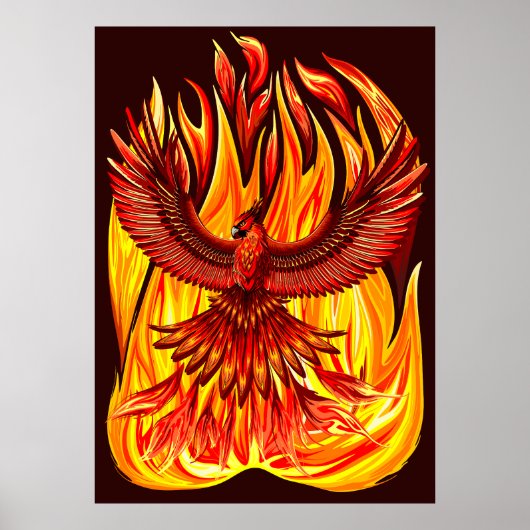 Phoenix mythologische onsterfelijke schepsel poster (Voorkant)