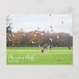 Phoenix Park Briefkaart