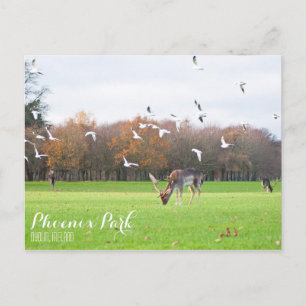Phoenix Park Briefkaart