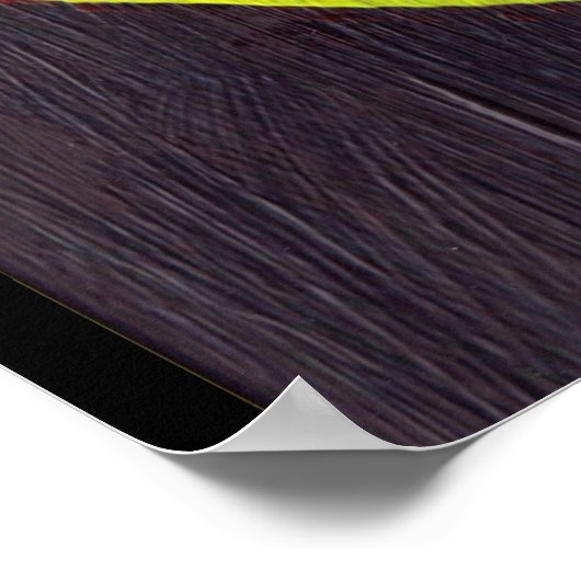 Phoenix Pheonix Red Firebird Thunderbird Flames Poster (Hoek)