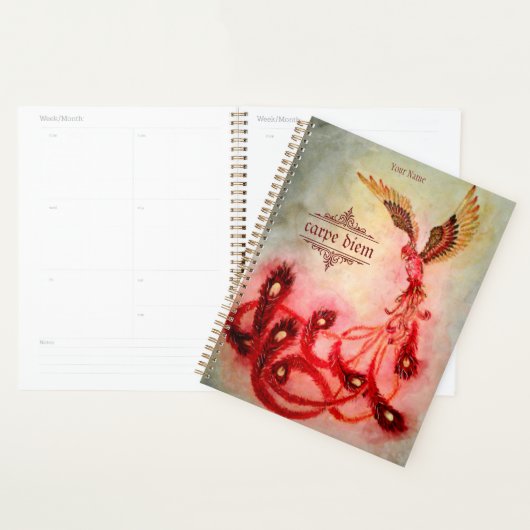 Phoenix Planner (Display)