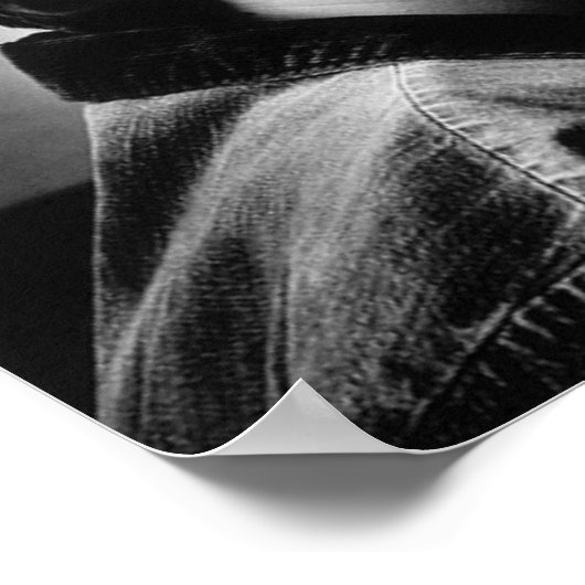 Phoenix Poster (Hoek)