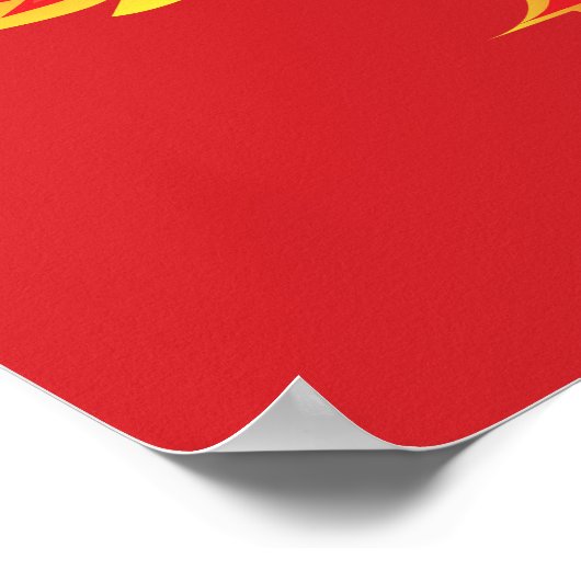 Phoenix Poster (Hoek)