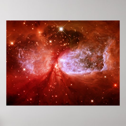 Phoenix Poster (Voorkant)