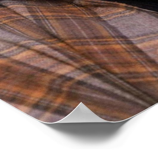 Phoenix Poster (Hoek)