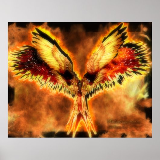 Phoenix Poster (Voorkant)