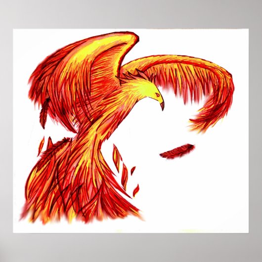 Phoenix Print (Voorkant)