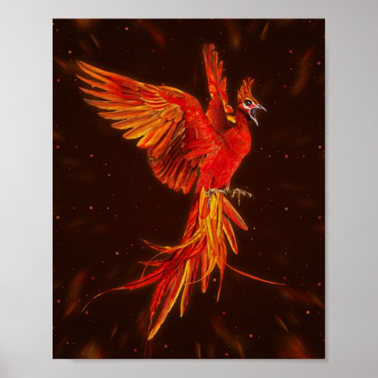 Phoenix Rising - # 1 Poster (Voorkant)