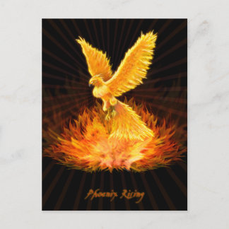 Phoenix Rising Briefkaart