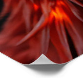 🔥 Phoenix Rising - Majestic Fire Bird Fantasy Art Poster (Hoek)