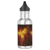 Phoenix Rising Mosaic Waterfles (Links)