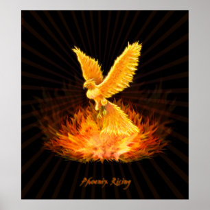 Phoenix Rising Poster