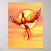 Phoenix Rising Poster (Voorkant)