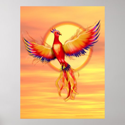 Phoenix Rising Poster (Voorkant)