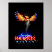 Phoenix Rising Poster (Voorkant)