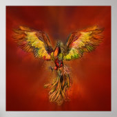 Phoenix Rising - rode hemel Poster (Voorkant)