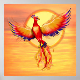 Phoenix Rising - Square Poster