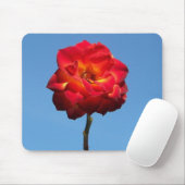 Phoenix-Roos in de Sky-mousepad Muismat (Met muis)