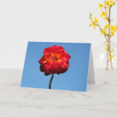Phoenix Roos in de Sky-wenskaarten Kaart (Gele Bloem)