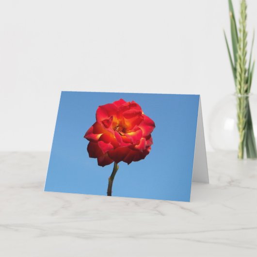 Phoenix Roos in de Sky-wenskaarten Kaart (Voorkant)