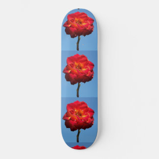 Phoenix-Roos in het skateboard van Sky