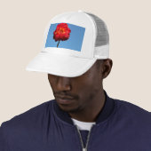 Phoenix-Roos in het Sky-pet Trucker Pet (In situ)