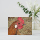 Phoenix Rooster Briefkaart (Staand voorkant)