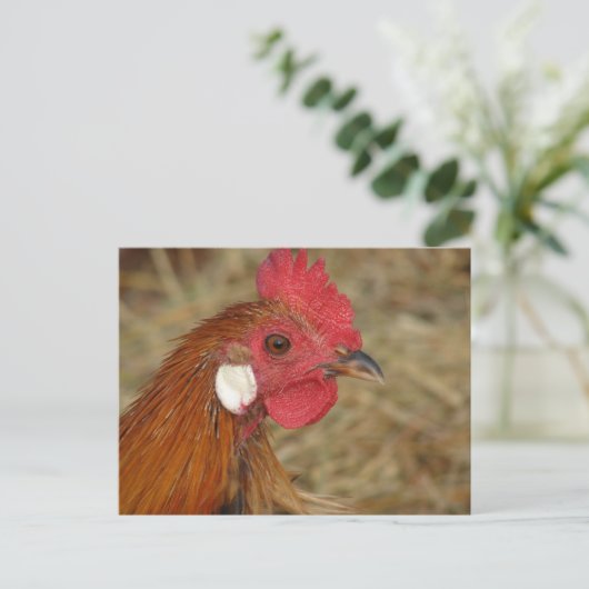 Phoenix Rooster Briefkaart (Staand voorkant)