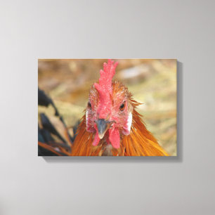 Phoenix Rooster Canvas Afdruk