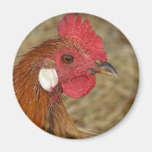 Phoenix Rooster Magneet (Voorkant)