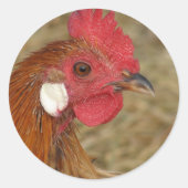 Phoenix Rooster Ronde Sticker (Voorkant)