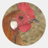 Phoenix Rooster Ronde Sticker (Voorkant)