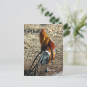 Phoenix Rooster van achteren Briefkaart (Staand voorkant)