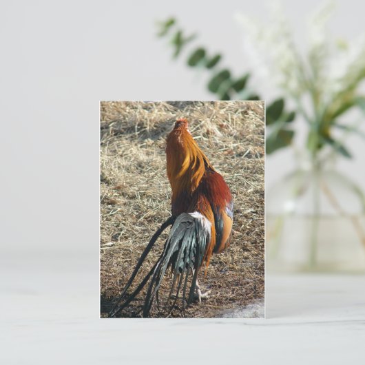 Phoenix Rooster van achteren Briefkaart (Staand voorkant)