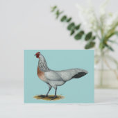 Phoenix:  Silver Duckwing Hen Briefkaart (Staand voorkant)