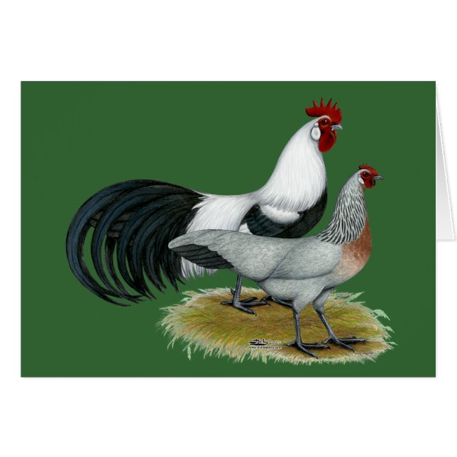 Phoenix:  Silver Duckwing Pair (Voorkant Horizontaal)