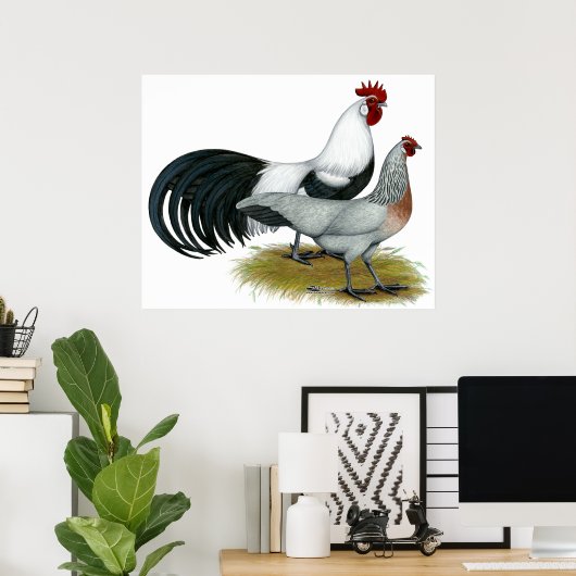 Phoenix: Silver Duckwing Pair Poster (Thuiskantoor)