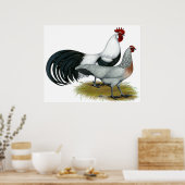 Phoenix: Silver Duckwing Pair Poster (Keuken)